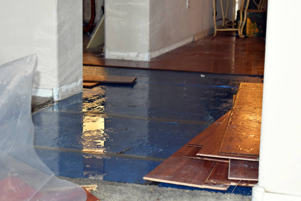 Professional Basement Flood Cleanup technician working in Jamestown, MO